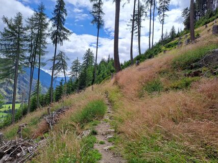 Foto von Wanderbursche66 entlang der Tour