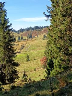 Photo de Bettina Miller 1 le long du parcours