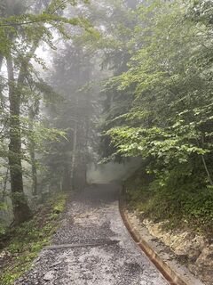 Fotografie de la Martin Reinhard de-a lungul turului