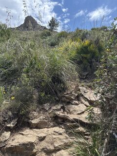 Foto från Tobias Rudolph 1 under resans gång