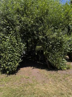 Photo de Andreas Endres 1 le long du parcours