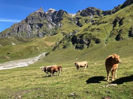 Blick auf Gelbhorn und Schwarzhorn