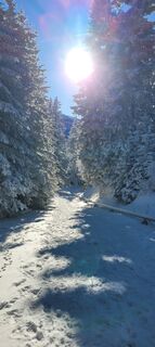 Zdjęcie z Manfred Eibel wzdłuż trasy