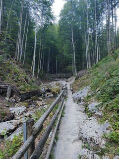 Fotografija s spletne strani Berg-Heli na poti
