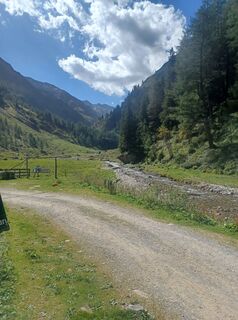 Photo de Dirk Haselhahn le long du parcours
