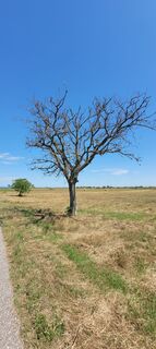 Foto von Nicky entlang der Tour