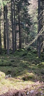 Fotografija s spletne strani Mel 9 na poti