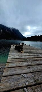 Foto von Juri Herre & Rocky entlang der Tour