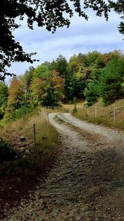 Fotografija s spletne strani Elisabeth Vonarburg na poti