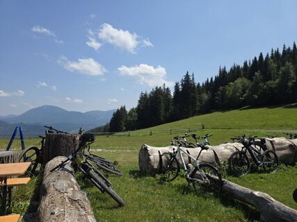Foto von Werner Pink 1 entlang der Tour
