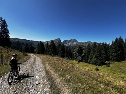 Foto von Dominique BERTHET entlang der Tour