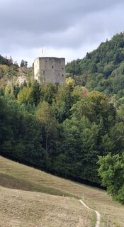 Fotografija s spletne strani Elisabeth Vonarburg na poti