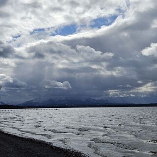 Photo de garrincha le long du parcours