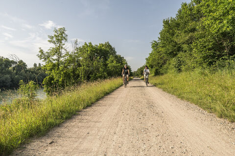 Fahrrad 48