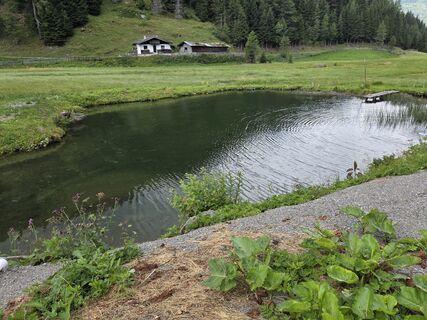 Photo de Helli Leiter le long du parcours