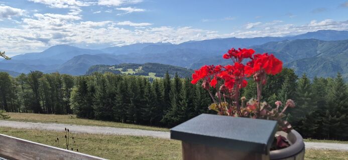 Fotografie z Hari Schrittwieser na trase