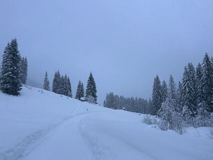 Zdjęcie z Josef Wohlgenannt wzdłuż trasy