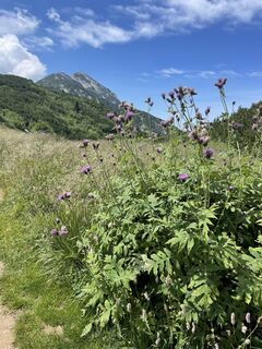 Foto de Wolfgang Thomaschitz a lo largo del recorrido