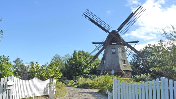 Frontalansicht der Holländerwindmühle "Sabine" in Sandbostel