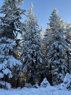 Fotografia z Georgiamartin0815 na trase