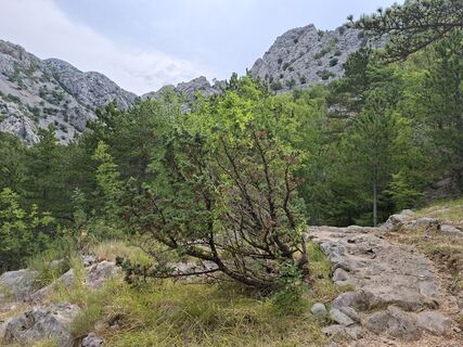 Photo de Edgar2912 le long du parcours
