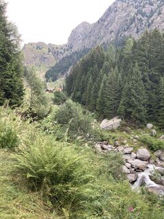 Fotografija s spletne strani Rainer Pieper na poti