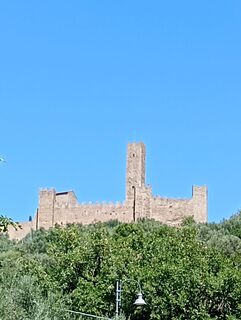 Fotografija s spletne strani ale civ na poti