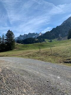 Photo from Ursula Werner along the tour