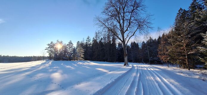 Foto de Deutsch Margit a lo largo del recorrido