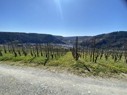 Foto von Romeo Juliett entlang der Tour