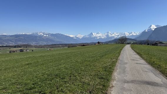 Photo from peter_oe along the tour