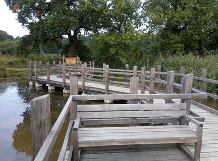 Röhrichtsteg am Langteich