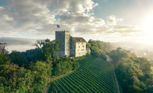 Schloss Habsburg