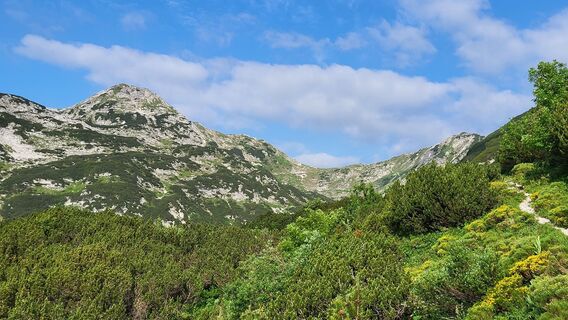 Fotografija s spletne strani Igor napast na poti