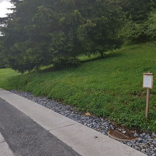 Witzweg, Surcuolm