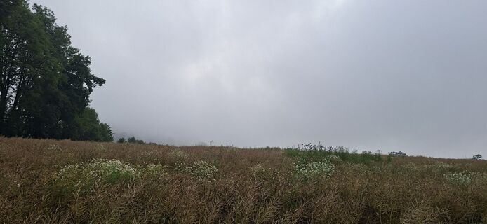 Photo de Lebendigkeit le long du parcours