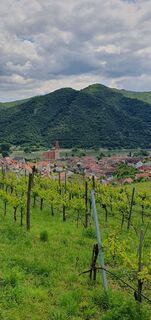 Fotó a En7o honlapról a túra során