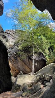 Photo de Jörg Maier le long du parcours