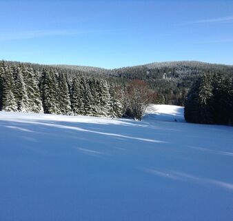 Die "Mondscheinwiese" im Winter