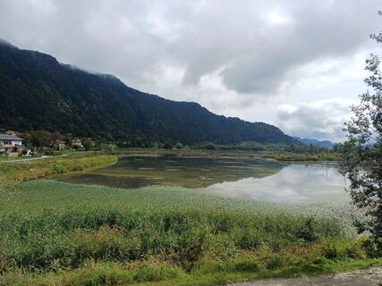 Fotografie de la Thomas Michalek 1 de-a lungul turului