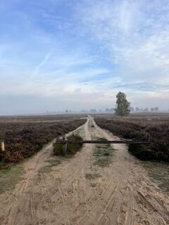 Foto von Marleen Blomsma entlang der Tour