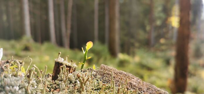 Kuva osoitteesta Klaus Lehner matkan varrella