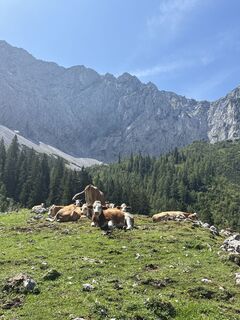 Foto von Silvia Huber entlang der Tour