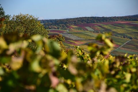 Herbst im Taubertal