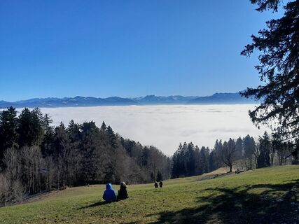 Foto von Roman Künzli entlang der Tour