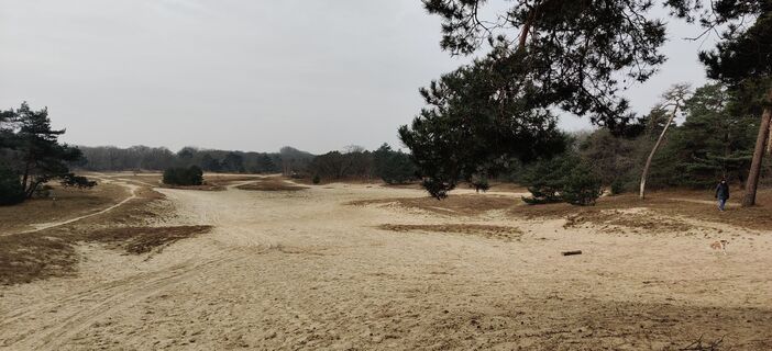 Foto von Hein Sleddens entlang der Tour