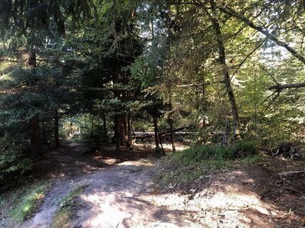 Foto de Martin Würsch a lo largo del recorrido