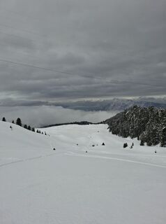 Photo de Stefan Thuille le long du parcours