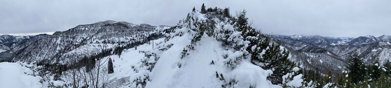 Fotografija s spletne strani Timon Straka na poti