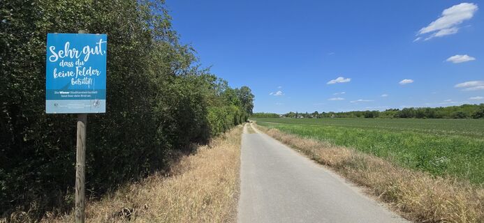 Photo de Hieu Duc Tram (Tudoi61) le long du parcours